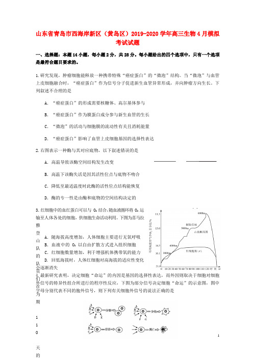 山东省青岛市西海岸新区(黄岛区)2019_2020学年高三生物4月模拟考试试题