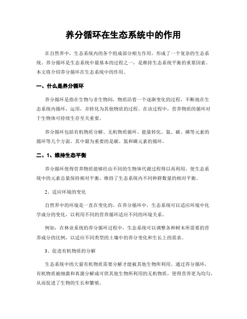 养分循环在生态系统中的作用