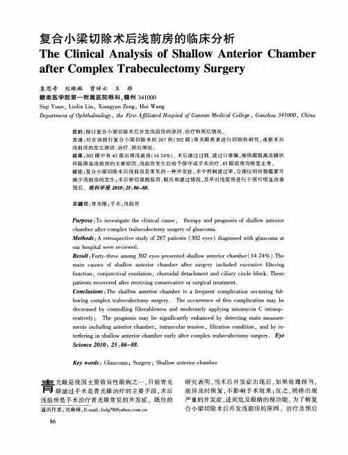 复合小梁切除术后浅前房的临床分析
