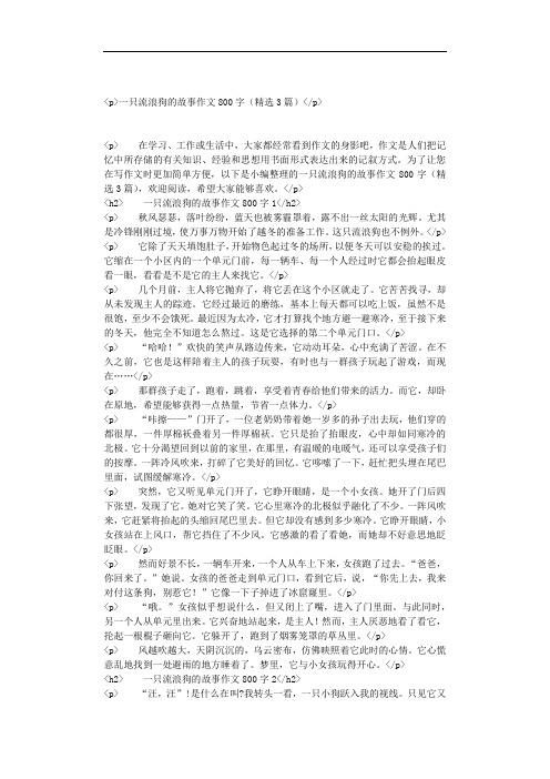 一只流浪狗的故事作文800字(精选3篇)