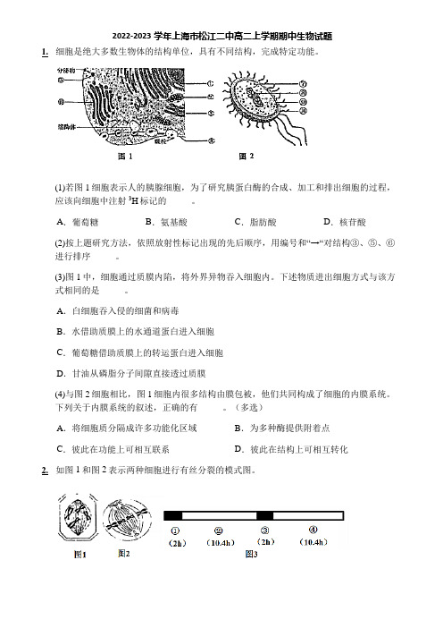 2022-2023学年上海市松江二中高二上学期期中生物试题