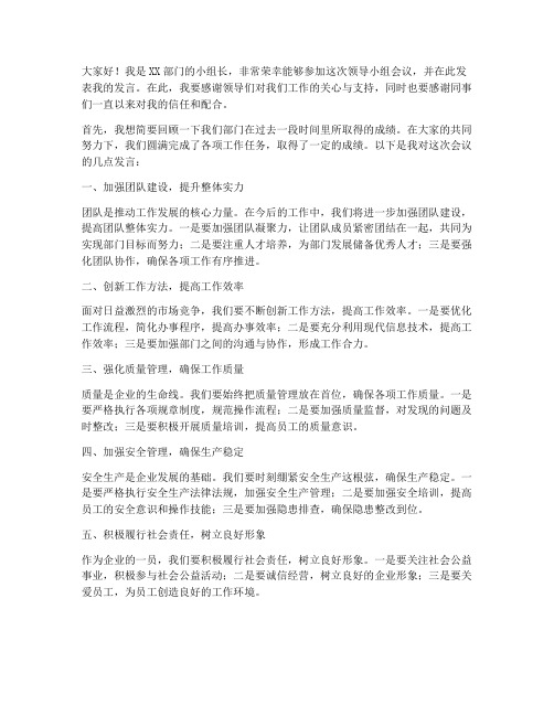 领导小组参会发言稿