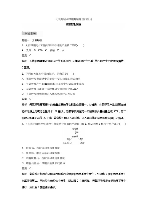 2021--2022学年   人教版    必修一 无氧呼吸和细胞呼吸原理的应用 作业