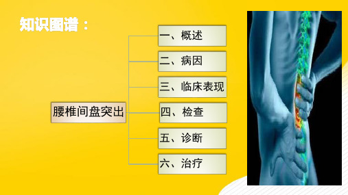 骨科小讲课-优秀PPT文档