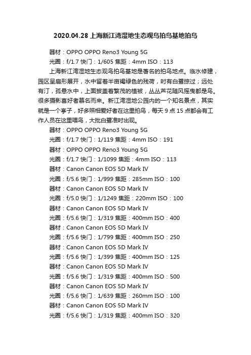 2020.04.28上海新江湾湿地生态观鸟拍鸟基地拍鸟