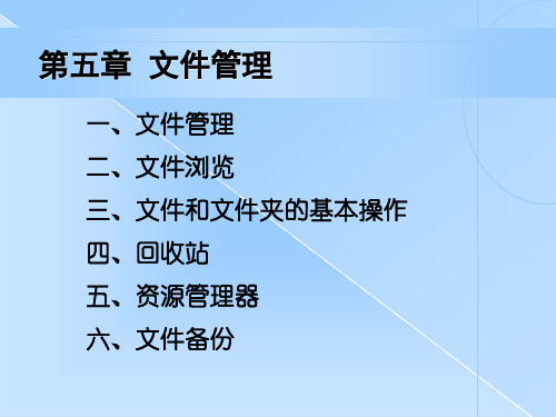 第五章 windows文件及文件管理