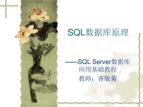 第一章SQL Server 2005概述