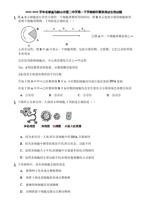 2022-2023学年安徽省马鞍山市第二中学高一下学期期中素质测试生物试题