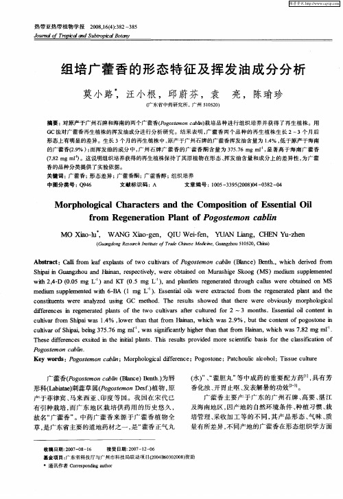 组培广藿香的形态特征及挥发油成分分析