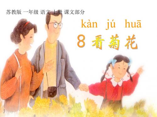 一年级语文上册 看菊花 3课件 苏教版