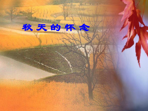 人教部编版七年级上册《秋天的怀念》精品课件(共22张PPT)
