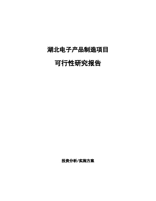 湖北电子产品制造项目可行性研究报告