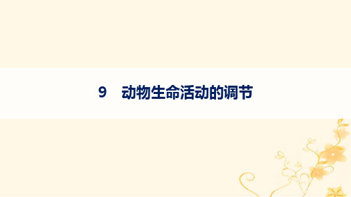 2024版高考生物二轮复习知识对点小题练9动物生命活动的调节课件