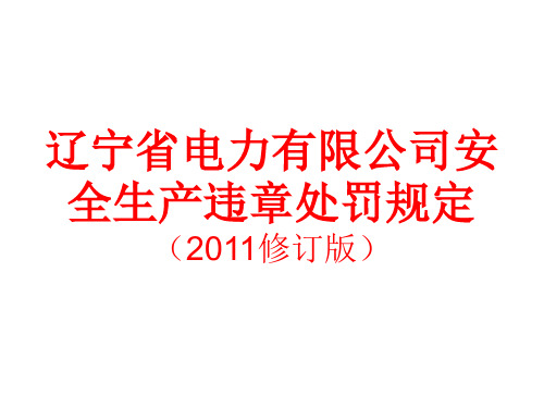 辽宁省电力有限公司安全生产违章处罚规定