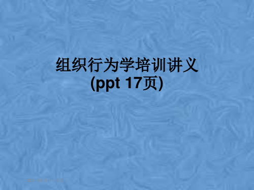 组织行为学培训讲义(ppt 17页)