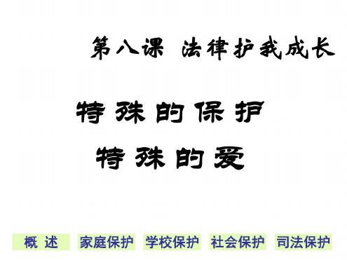 初一政治下学期第八课特殊的保护特殊的爱