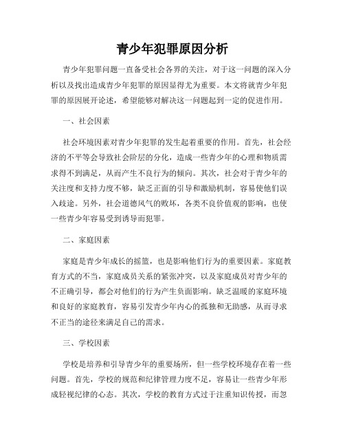 青少年犯罪原因分析