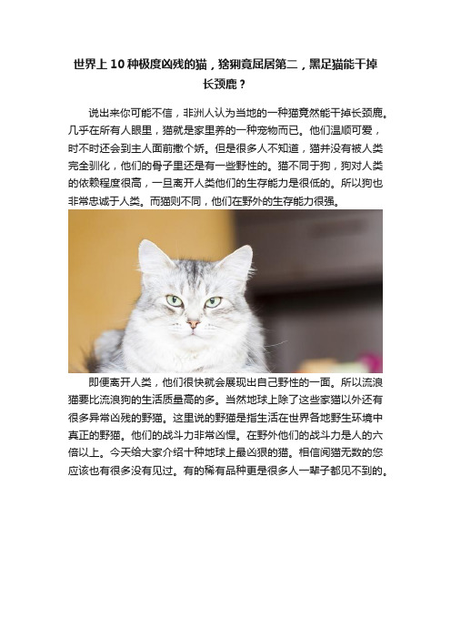 世界上10种极度凶残的猫，猞猁竟屈居第二，黑足猫能干掉长颈鹿？