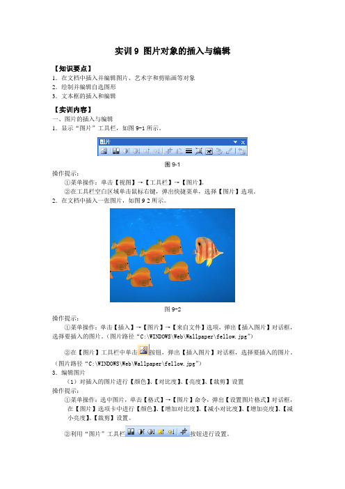 实训9 图片对象的插入与编排