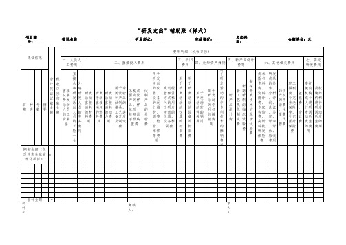 研发支出辅助账