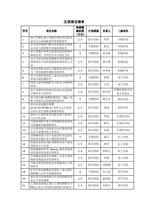 立项项目清单