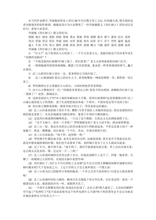 毕淑敏《西红柿王》散文好句