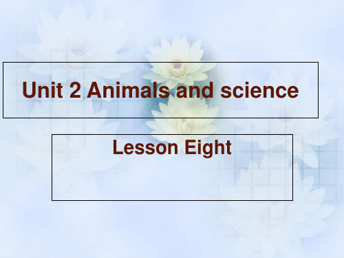 六年级上册英语课件-Unit 2 Animals and science  Lesson 8 课件｜