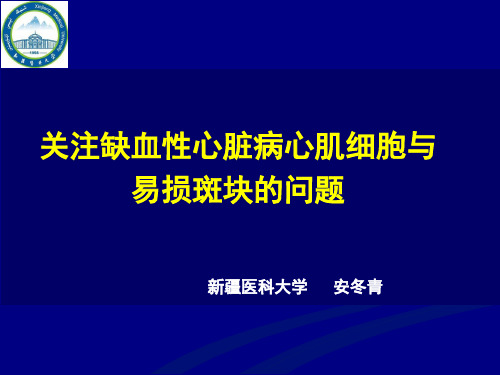 医学-关注缺血性心脏病心肌细胞与易损斑块的问题安冬青2016ppt课件