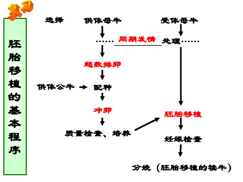 胚胎分割和胚胎干细胞的培养.ppt