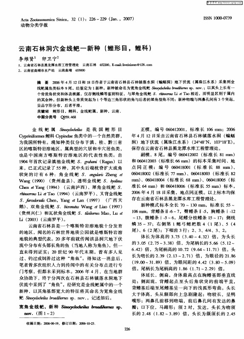 云南石林洞穴金线鲃一新种(鲤形目,鲤科)
