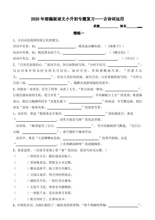 2020年部编版语文小升初专题复习——古诗词运用(含答案)