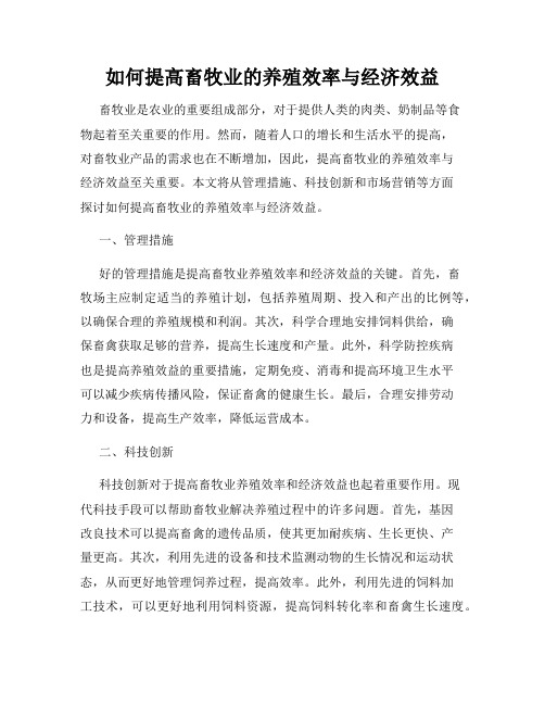 如何提高畜牧业的养殖效率与经济效益