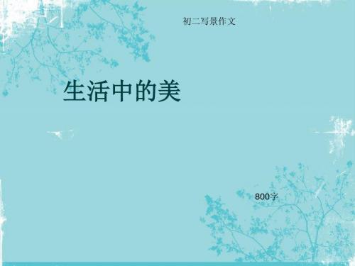 初二写景作文《生活中的美》800字(总11页PPT)