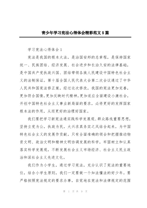 青少年学习宪法心得体会精彩范文5篇