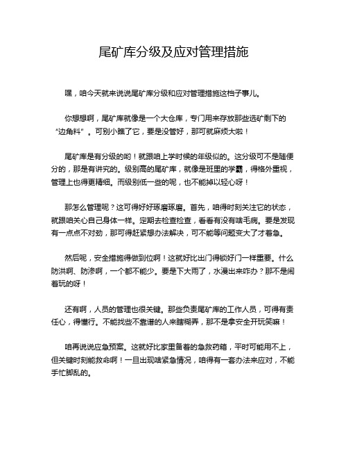 尾矿库分级及应对管理措施