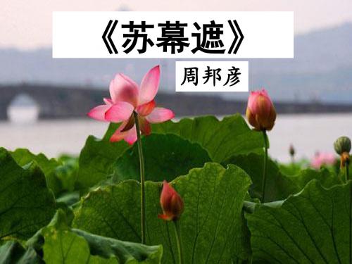 《苏幕遮》公开课