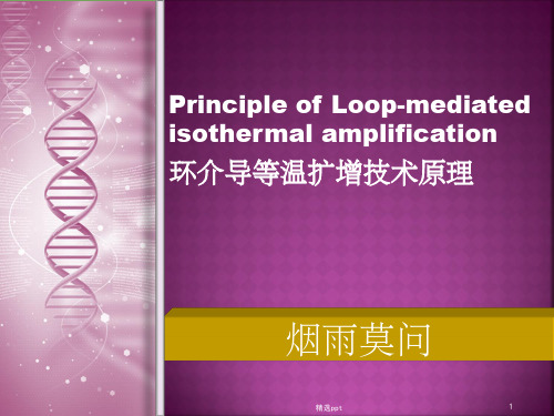 环介导等温扩增技术原理ppt课件