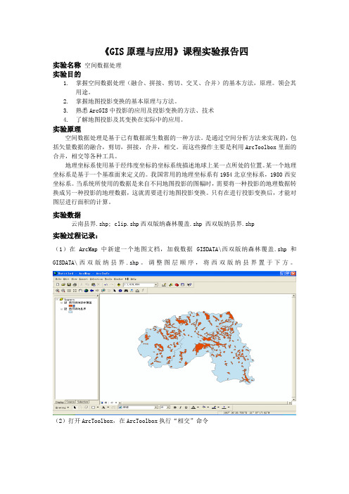 GIS实验报告四