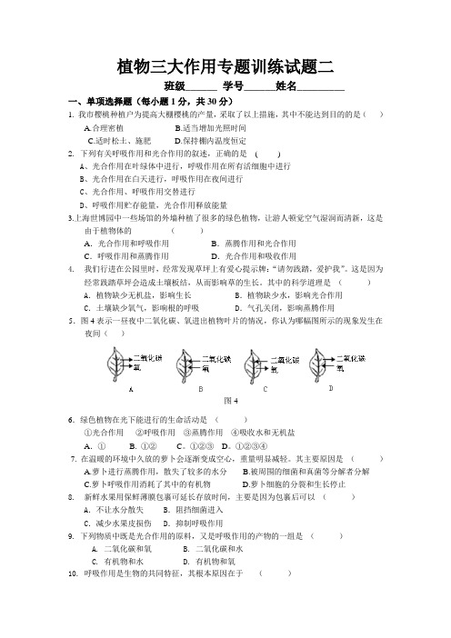 植物三大作用专题训练试题