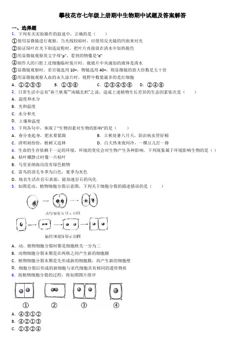 攀枝花市七年级上册期中生物期中试题及答案解答