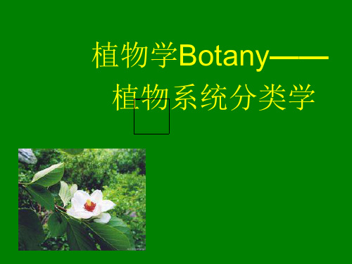 植物学Botany——植物系统分类学