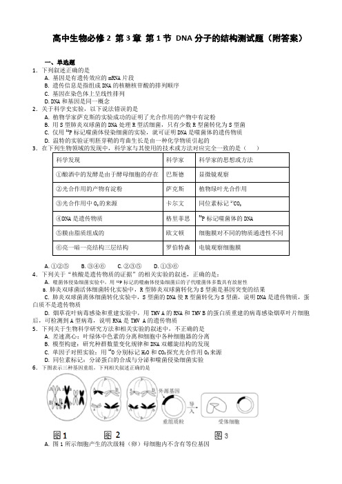 生物高中二年级人教版必修2 高中生物必修2 第3章第2节DNA分子的结构测试题(附答案)