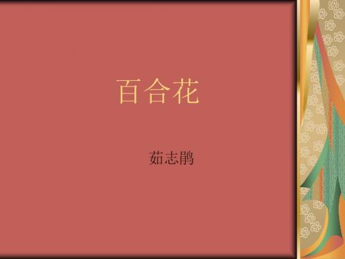 《百合花》(精)