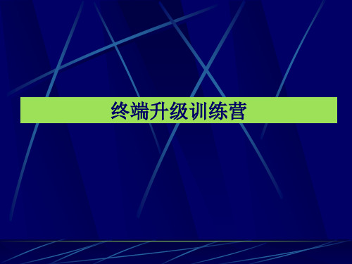 TCL国际电工终端升级训练营