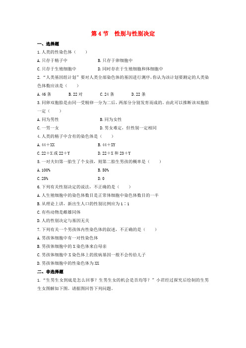 八年级上册-北师大版生物20.4性别和性别决定 同步练习