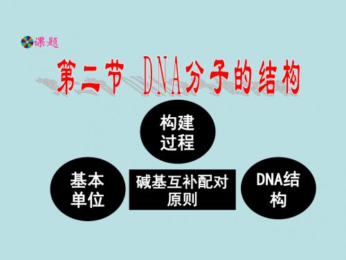 第二节DNA分子的结构