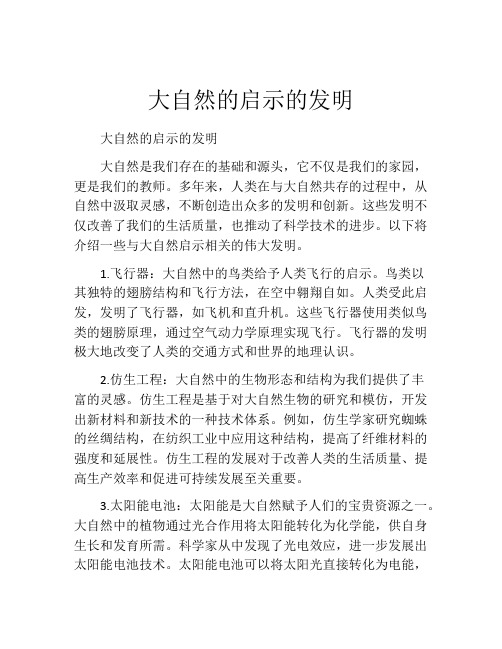 大自然的启示的发明