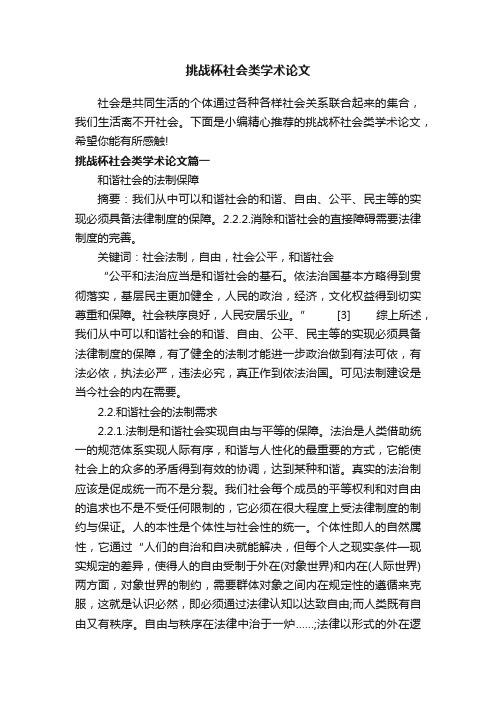 挑战杯社会类学术论文