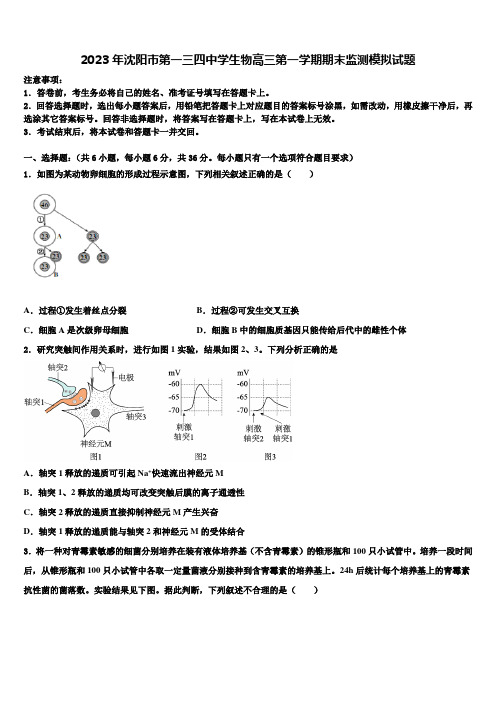 2023年沈阳市第一三四中学生物高三第一学期期末监测模拟试题含解析