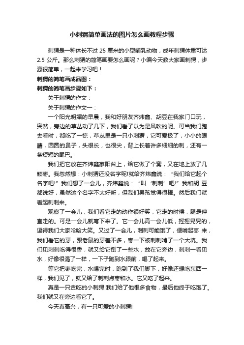 小刺猬简单画法的图片怎么画教程步骤